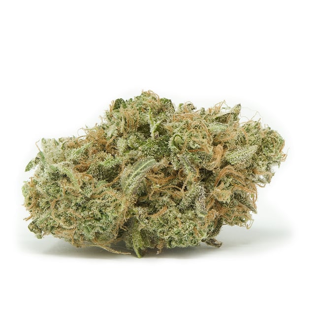 Alpine Guava [.5g] - Image 2