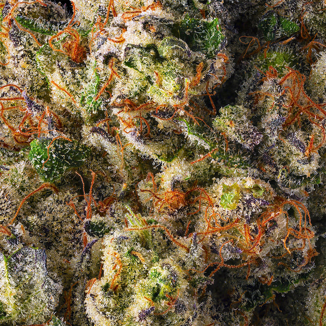 French Butter #18 [3.5g] - Image 6