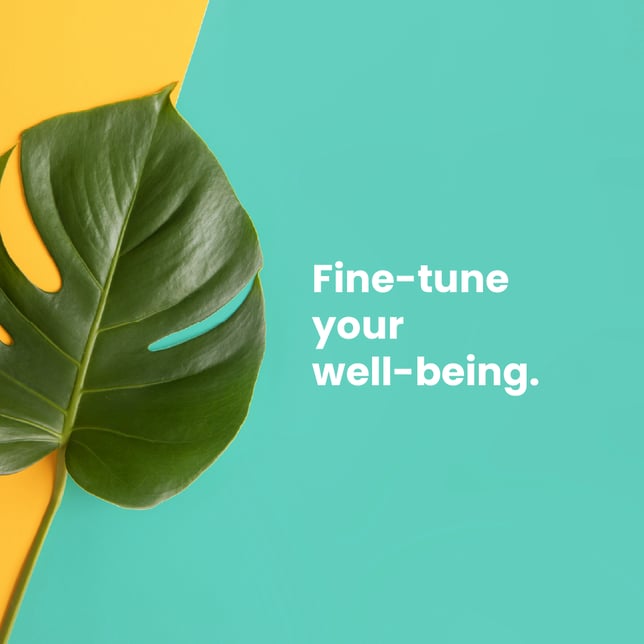 Batch | Cartridges | Become 1:1 Balanced | 1 g - Image 2