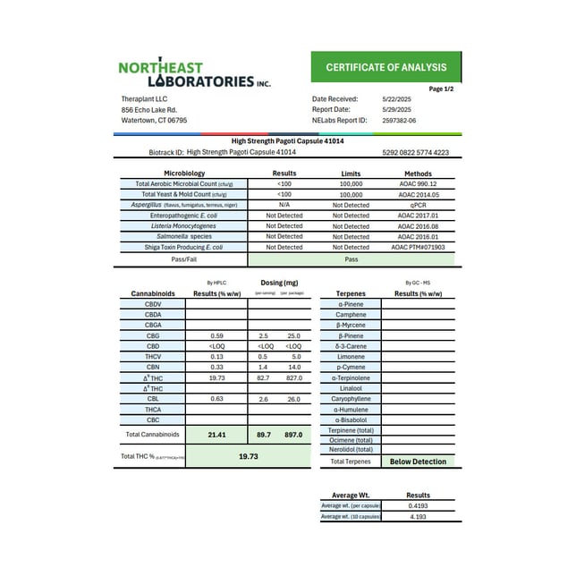 Theraplant - Pagoti (H) Capsules (82.7mg 10pk) C0040001014 - Image 3