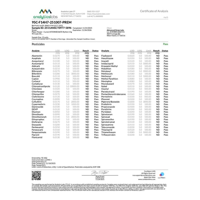 Rythm - 95 Cook (H) Flower C0010001108 - Image 7 Rythm - 95 Cook (H) Flower C0010001108 - Image 7