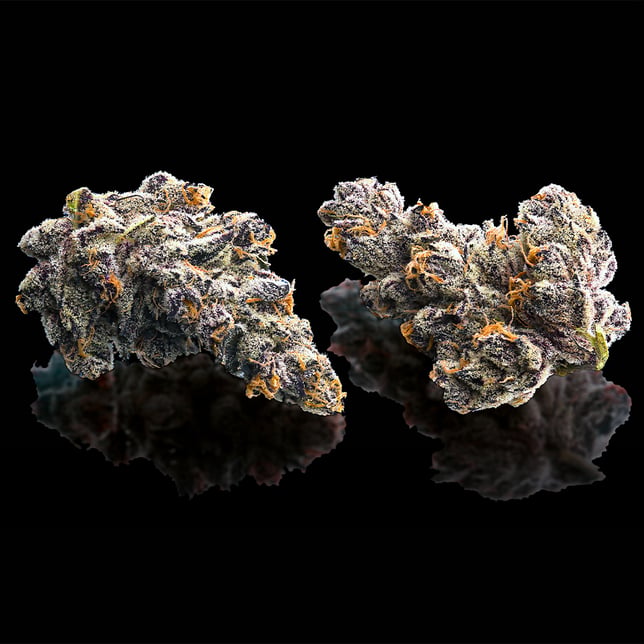 French Lotus Goldies Infused Pre-Rolls 5-Pack [3g] - Image 6