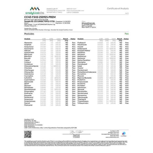 Rythm - Cheddar Cheeze (I) Flower C0010001093 - Image 7 Rythm - Cheddar Cheeze (I) Flower C0010001093 - Image 7