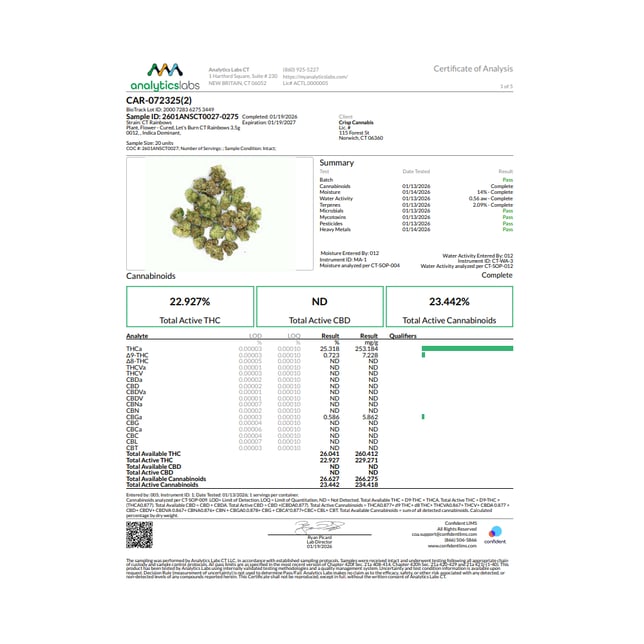Let's Burn - CT Rainbows (I) Flower  C0200000012 - Image 3