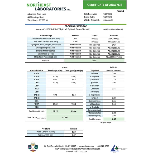 Rythm - Slapz (H) Smalls  C0010000827 *NP - Image 4