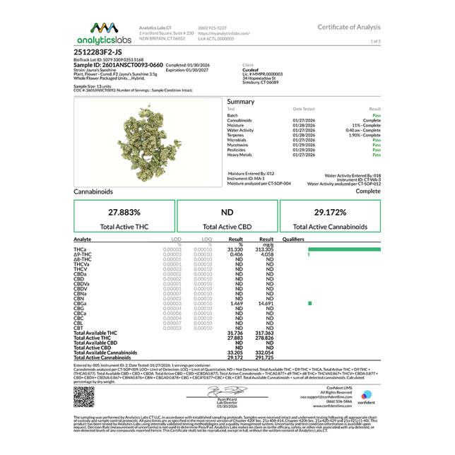 Grassroots - Jayna's Sunshine (H) Flower  C0030001449 - Image 3