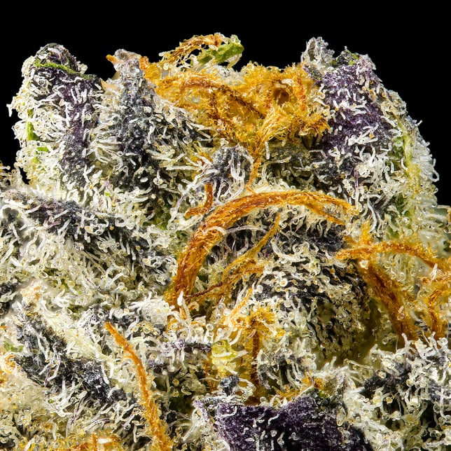 Sour Sangria Maven Minis [14g] - Image 6