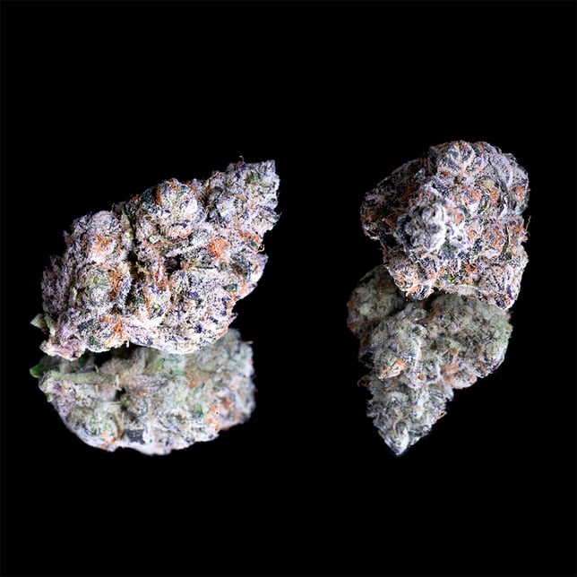 Shangri-La Pre-Roll 5-Pack [2.5g] - Image 3