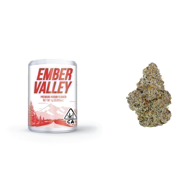 Wingsuit - Image 4 Wingsuit - Image 4