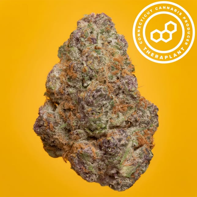 Theraplant - Super Buff (S) Flower C0040001486 - Image 1 Theraplant - Super Buff (S) Flower C0040001486 - Image 1