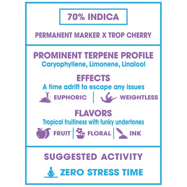 Permanent Vacation - Image 3 Permanent Vacation - Image 3