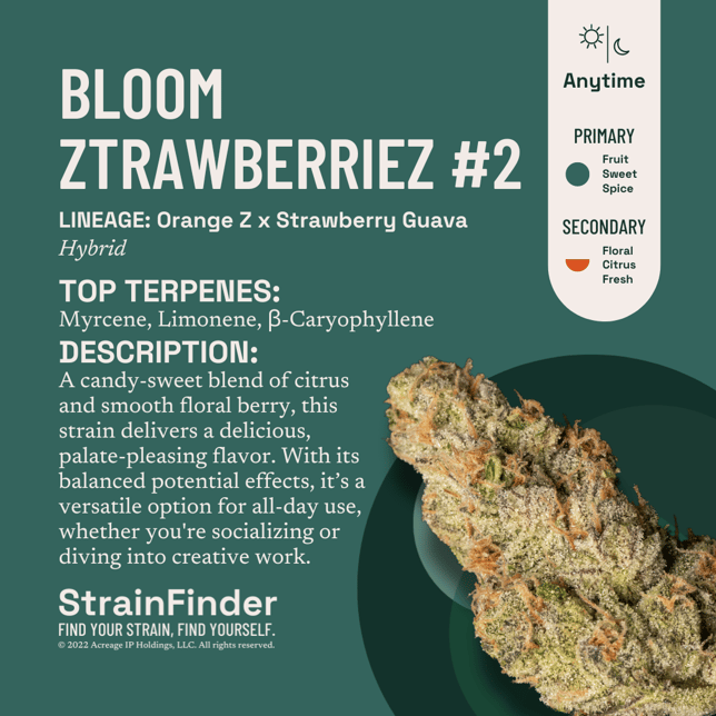 Bloom Ztrawberriez #2 - Image 3 Bloom Ztrawberriez #2 - Image 3