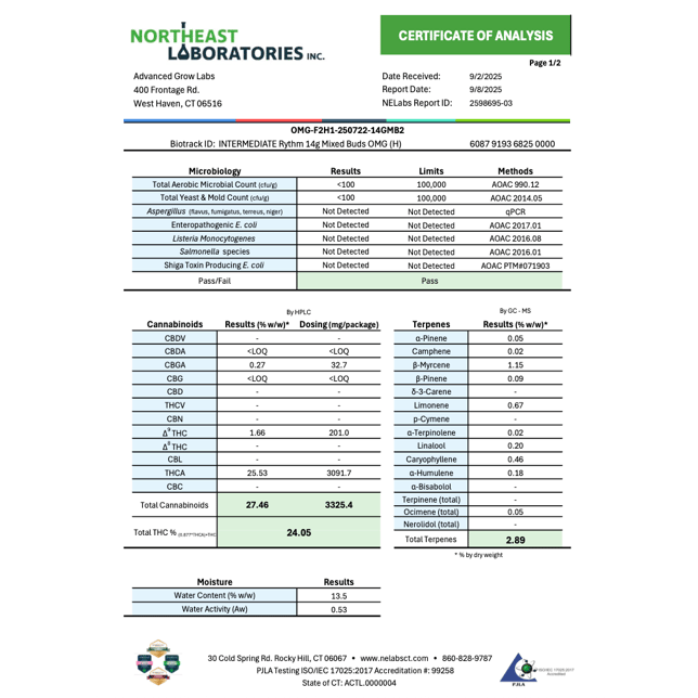 Rythm - OMG (H) Flower  C0010000919 - Image 4