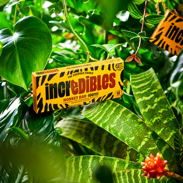 Monkey Bar [10pk] (100mg) - Image 3