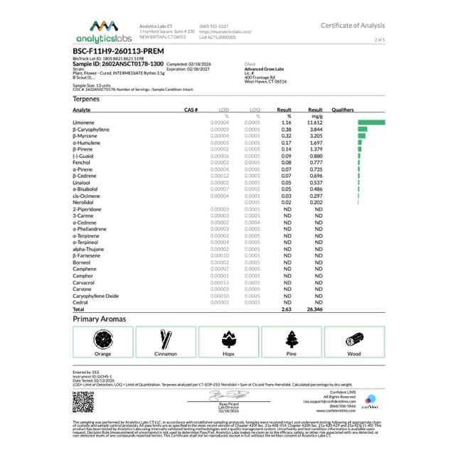 Rythm - B Scout (I) Flower C0010001324 - Image 4 Rythm - B Scout (I) Flower C0010001324 - Image 4