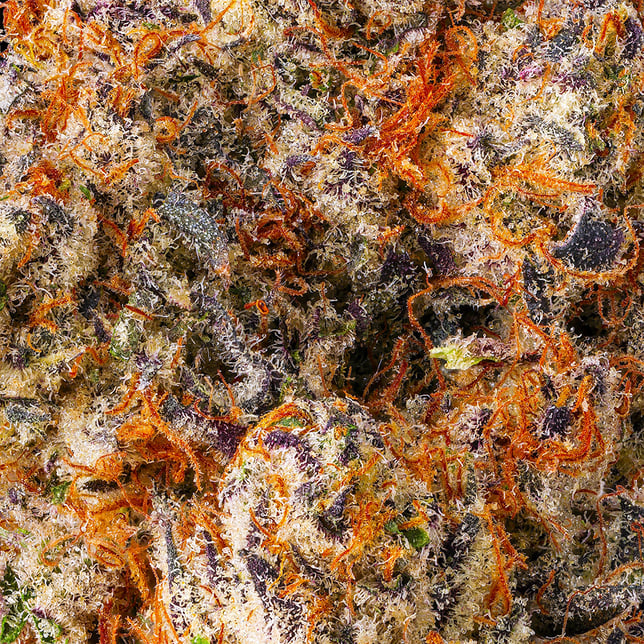 Parisian Kush Pre-Roll 5-Pack [2.5g] - Image 5