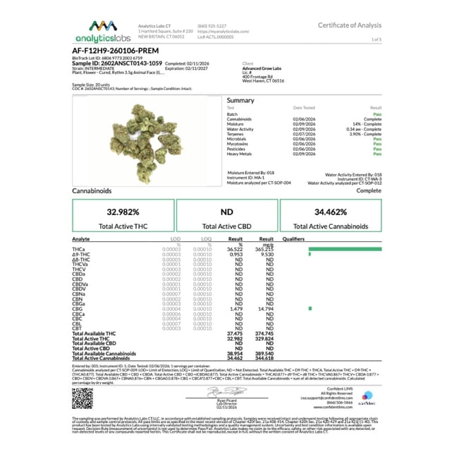 Rythm - Animal Face (I) Flower  C0010001304 - Image 4