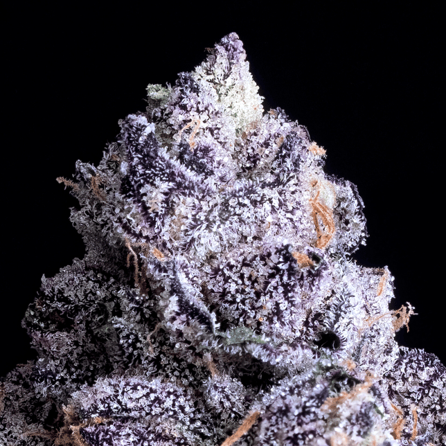 Prizm Pre-Roll 5-Pack [2.5g] - Image 4