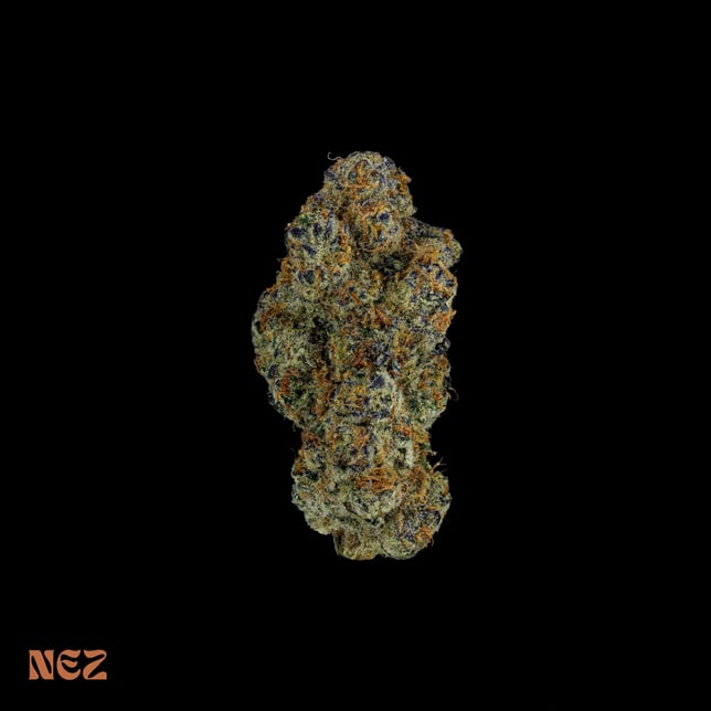 Strawberry Guava - Image 1