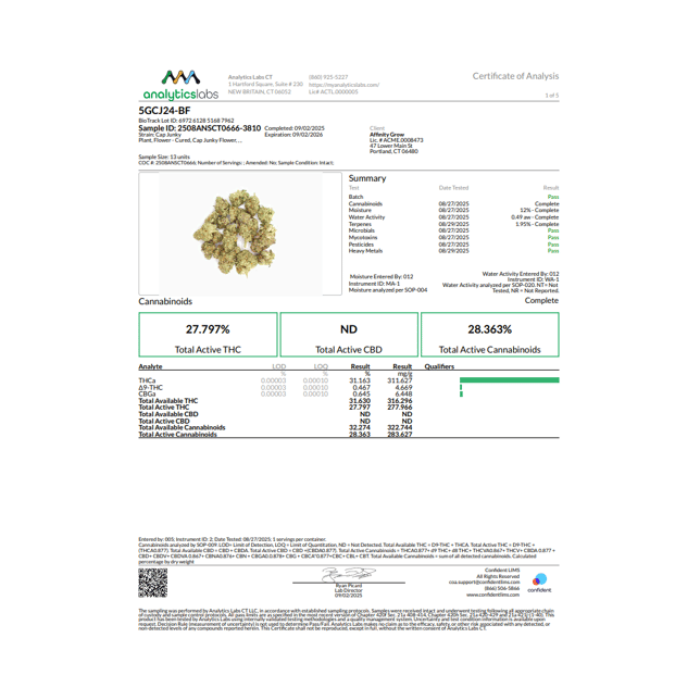 Affinity Grow - Capy (H) Flower  C0090000637 - Image 4