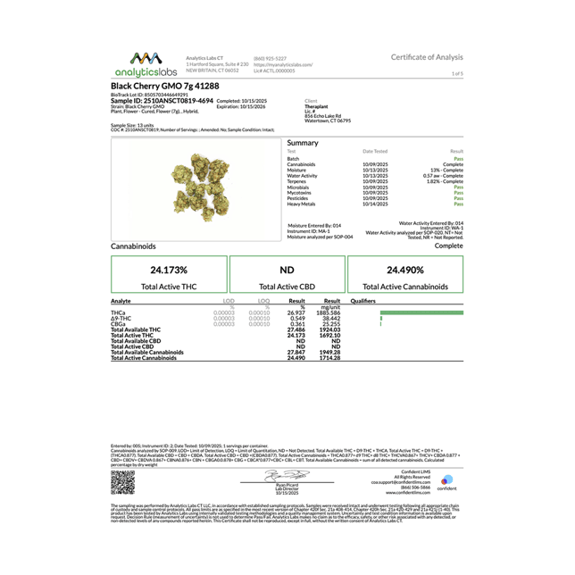 Theraplant - Black Cherry GMO (H) Flower  C0040001288 - Image 3