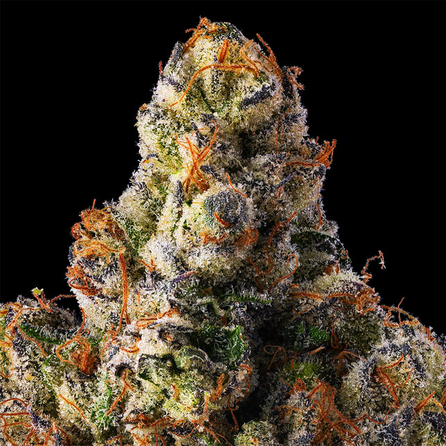 French Butter #18 [3.5g] - Image 5