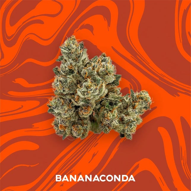 Bananaconda - Image 1 Bananaconda - Image 1