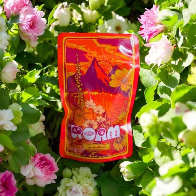 Permanent Marker - Image 3 Permanent Marker - Image 3