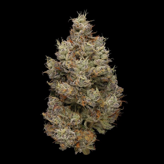 Hash Burger [1g] - Image 3