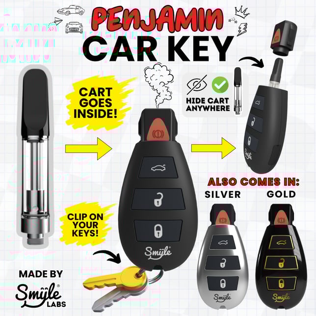 Penjamin Car Key - (see photos for details) - Image 4 Penjamin Car Key - (see photos for details) - Image 4