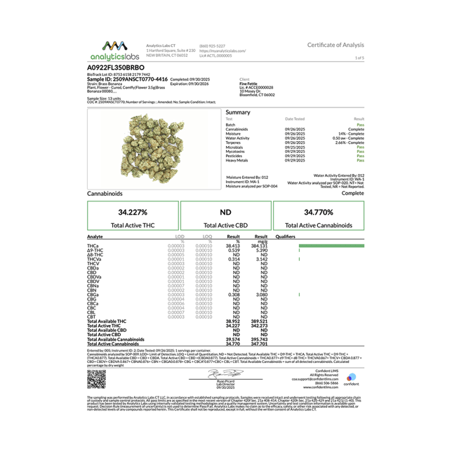 Comffy - Brass Bonanza (S) Flower  C0140000080 - Image 3
