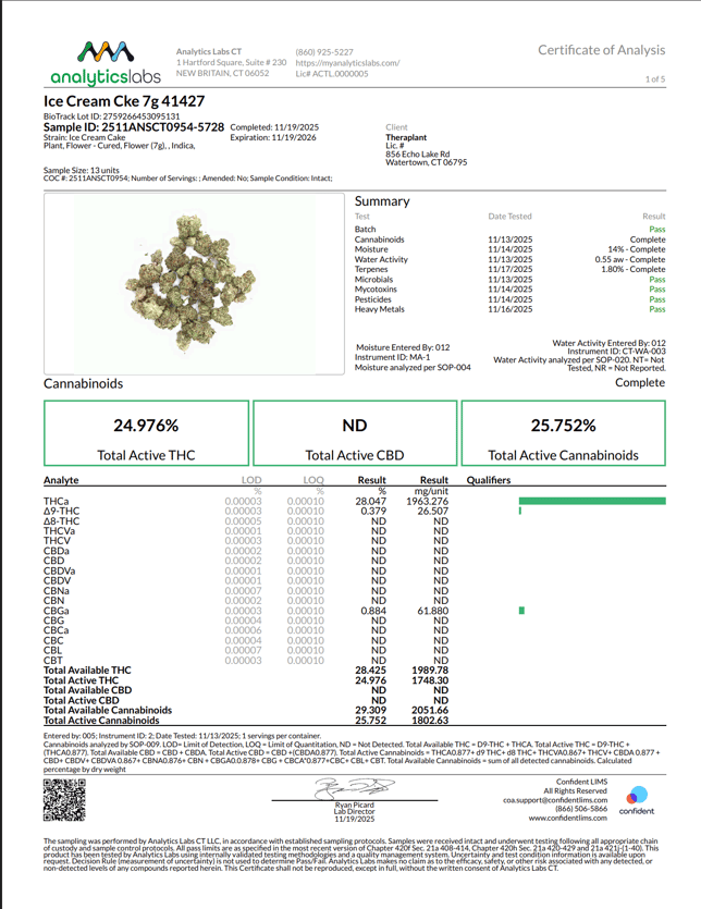 Theraplant - Ice Cream Cke (I) Flower  C0040001427 - Image 4