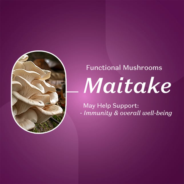 *Wonder | Period Blackberry Gummies [20pk] (100mg) - Image 3