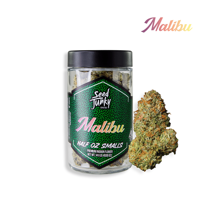 Malibu - Image 3