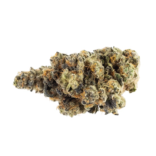 Sneak Attack OG - Image 2