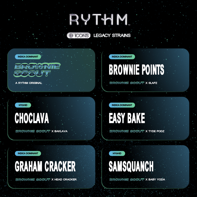 Graham Cracker - Image 3