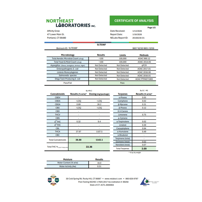 Affinity Grow - The Duke (I) Flower  C0090000827 - Image 3