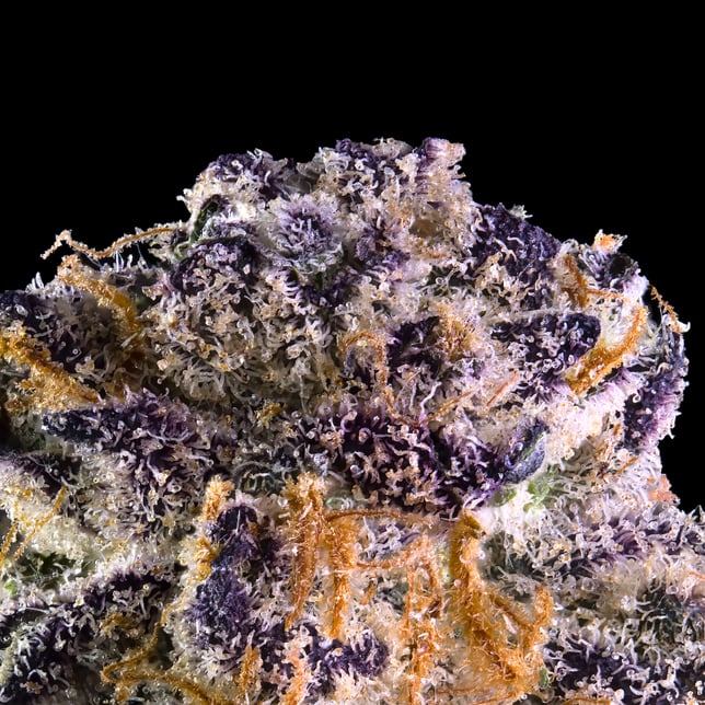 Key Lime Jack [3.5g] - Image 7