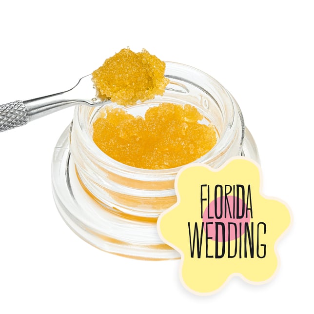 Florida Wedding - Image 2