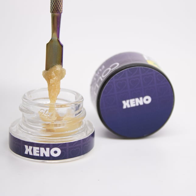 Xeno - Image 1 Xeno - Image 1