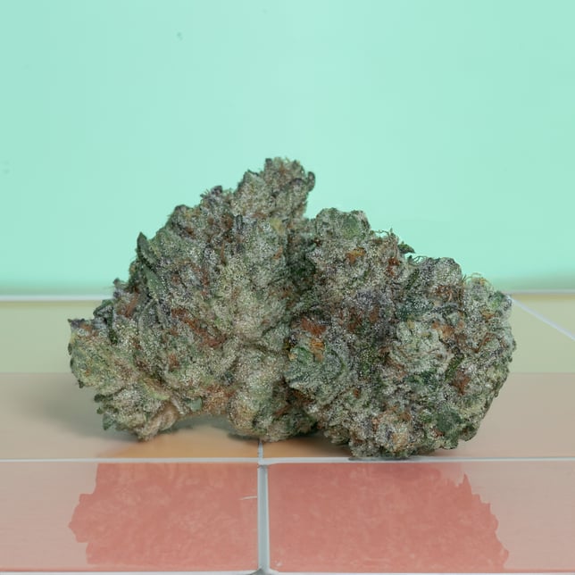 Florida Wedding - Image 3