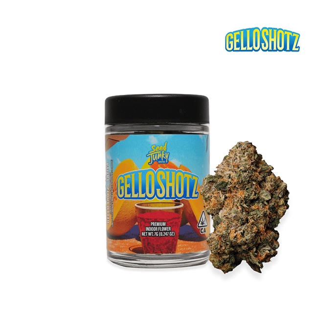 Gello Shotz - Image 2