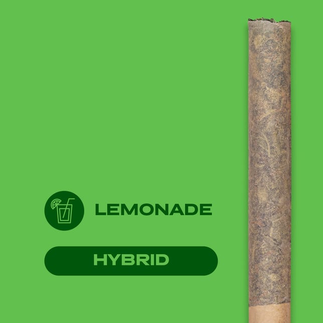 TEE TIME: Lemonade [5pk] (2.5g total) - Image 4