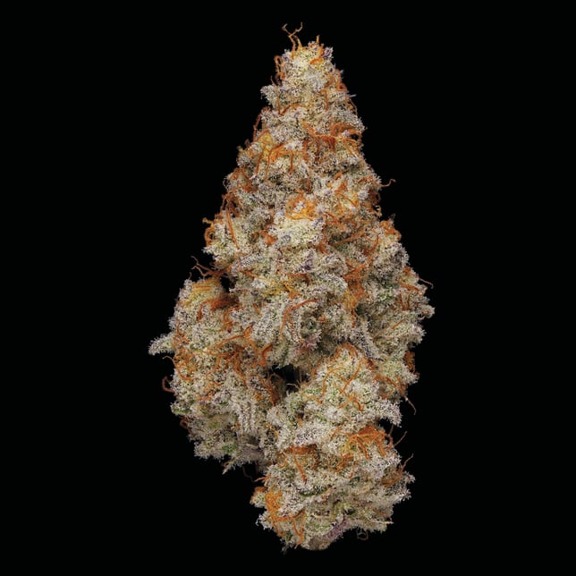 Boofnami [1000mg] - Image 3