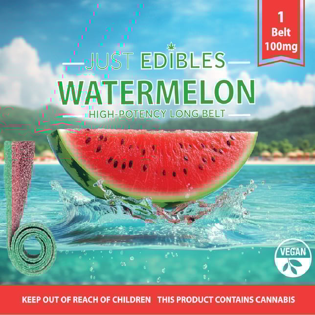 Watermelon Long Belt – (10 Servings | 100mg THC Total) - Image 2
