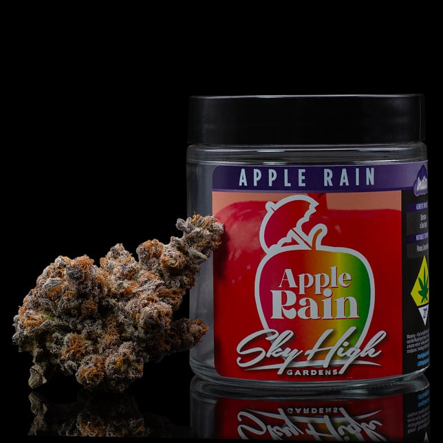 Apple Rain - Image 1 Apple Rain - Image 1