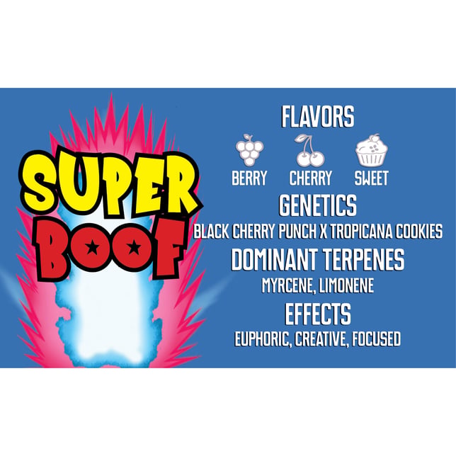 Super Boof - Image 2