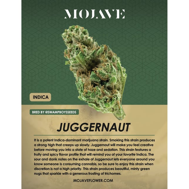 Juggernaut - Image 1 Juggernaut - Image 1