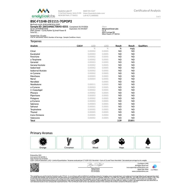 Rythm - B Scout (I) Smalls  C0010001240 - Image 6