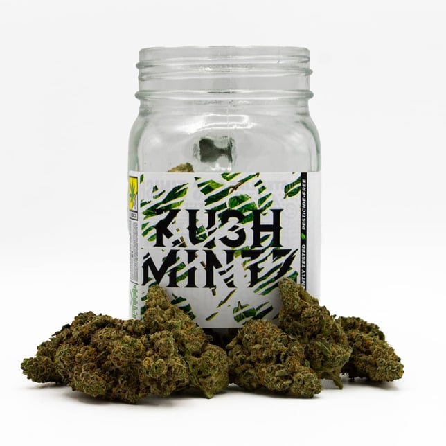 Kush Mintz - Image 1